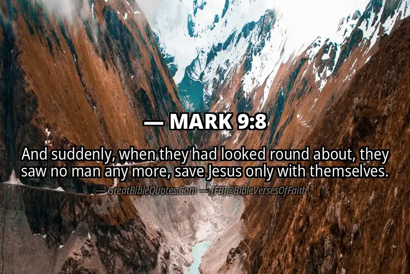 MARK 9:8 Verse