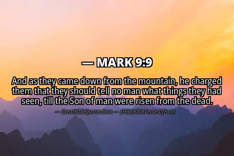 MARK 9:9 Verse