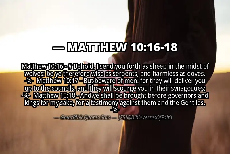 Image for MATTHEW 10:16-18 Bible verse