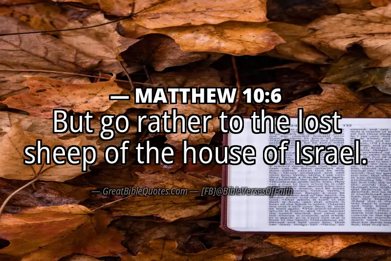 MATTHEW 10:6 Verse