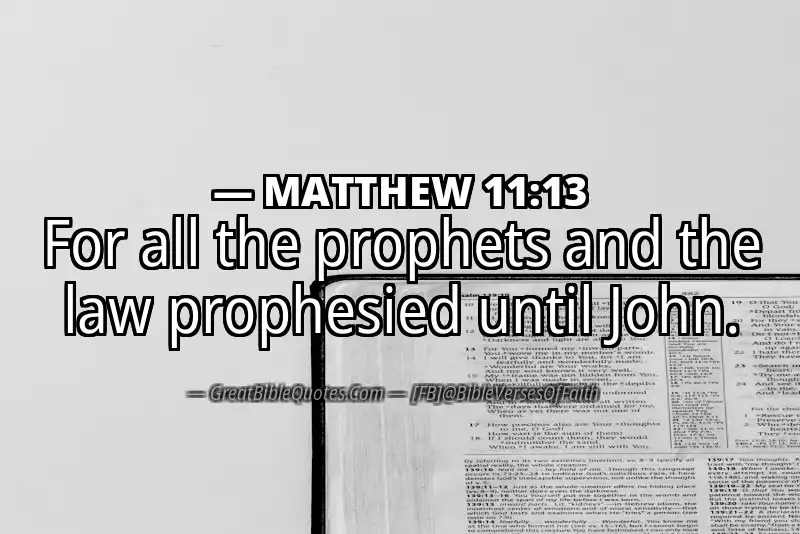 MATTHEW 11:13 Verse Image