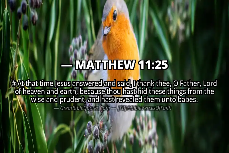 MATTHEW 11:25 Verse