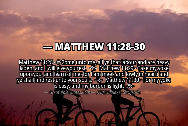 Image for MATTHEW 11:28-30 Bible verse