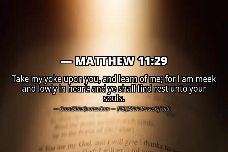 MATTHEW 11:29 Verse