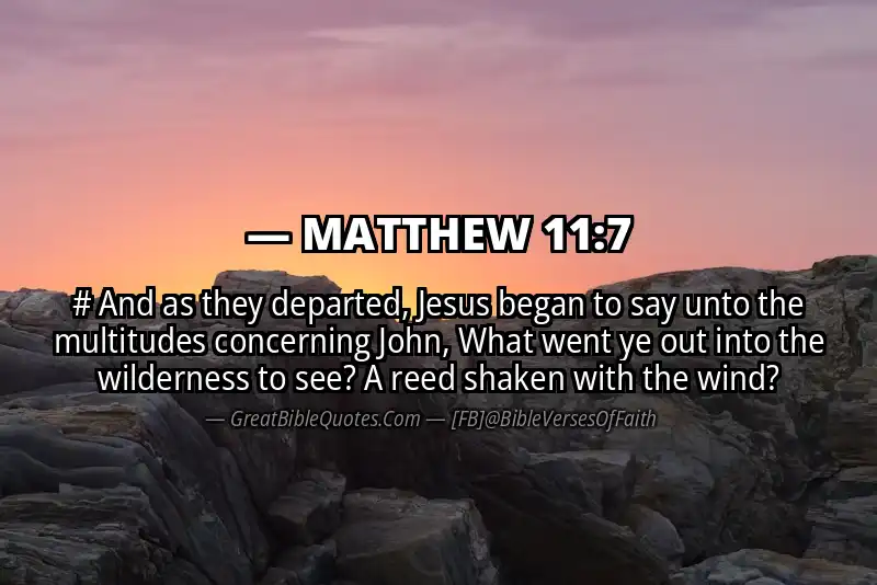 MATTHEW 11:7 Verse
