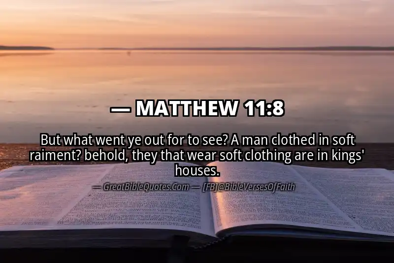 MATTHEW 11:8 Verse