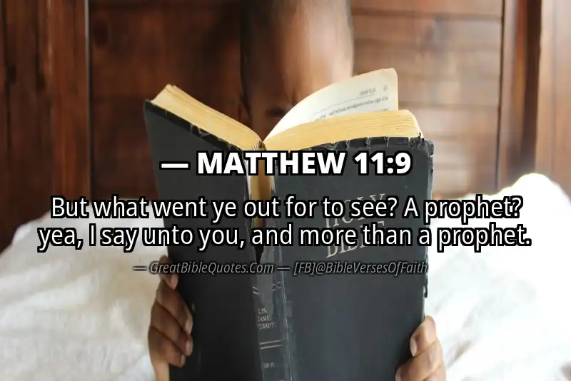 MATTHEW 11:9 Verse