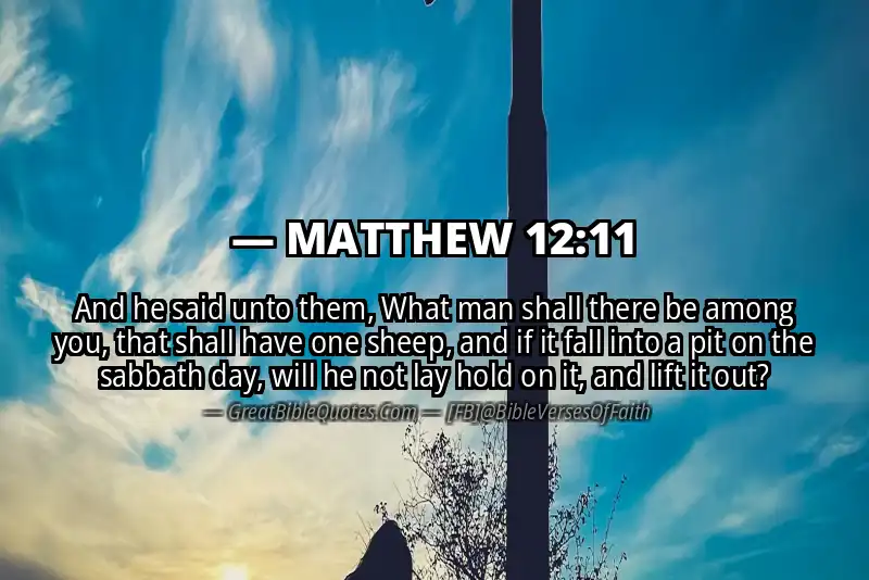 MATTHEW 12:11 Verse