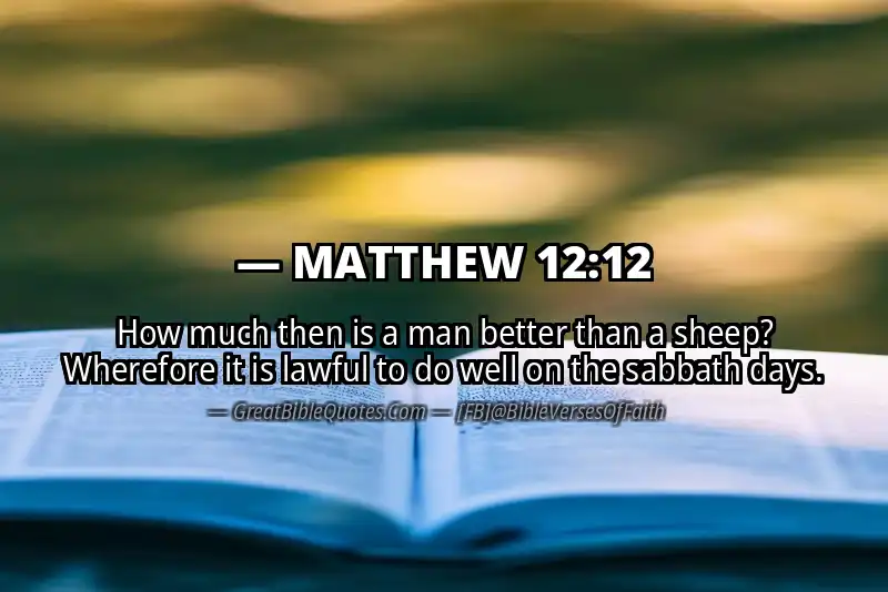 MATTHEW 12:12 Verse