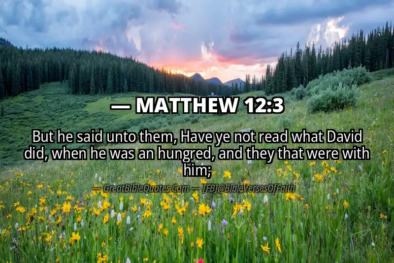 MATTHEW 12:3 Verse Image