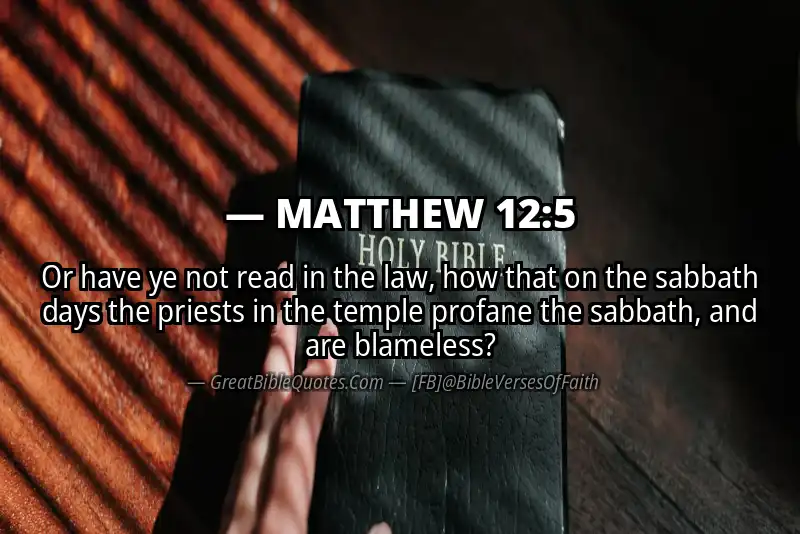 MATTHEW 12:5 Verse