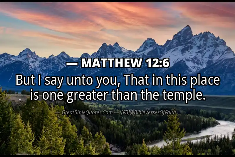 MATTHEW 12:6 Verse