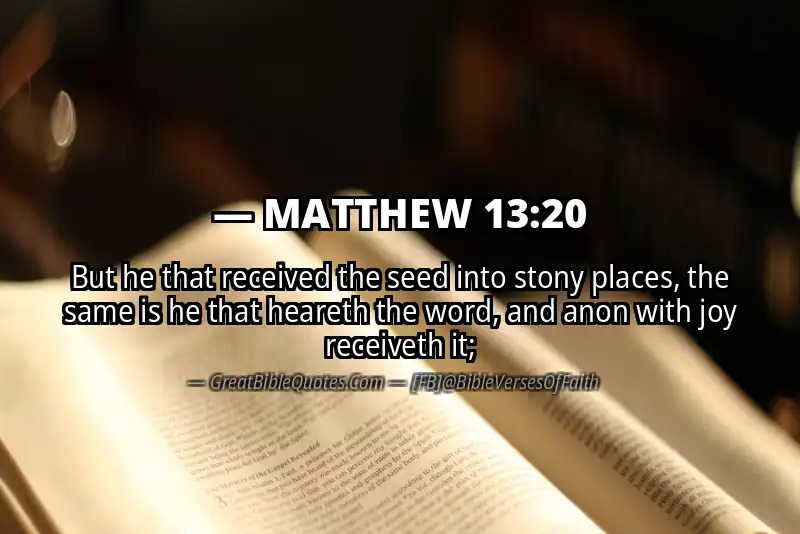 MATTHEW 13:20 Verse