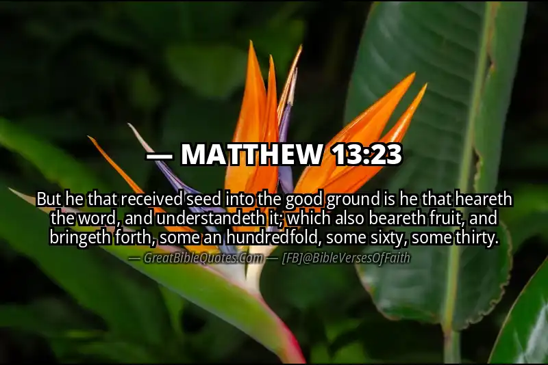 MATTHEW 13:23 Verse