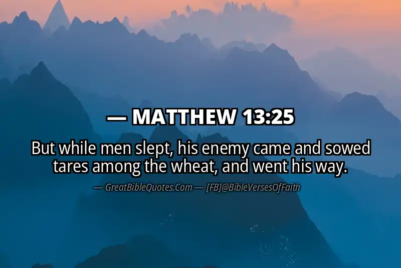 MATTHEW 13:25 Verse