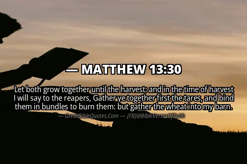MATTHEW 13:30 Verse