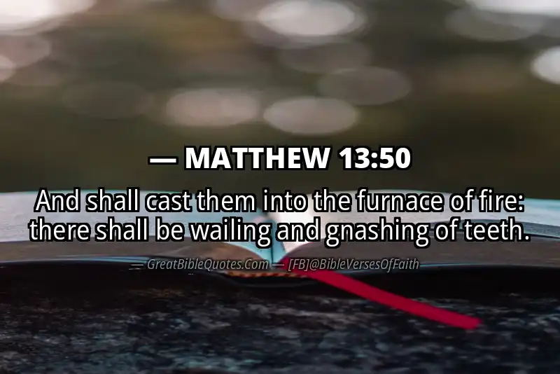 MATTHEW 13:50 Verse