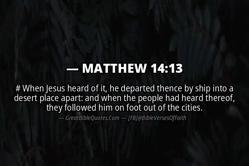 MATTHEW 14:13 Verse