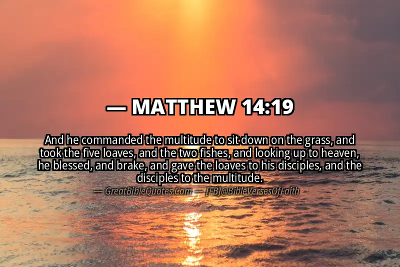 MATTHEW 14:19 Verse