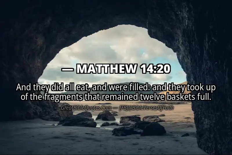 MATTHEW 14:20 Verse Image