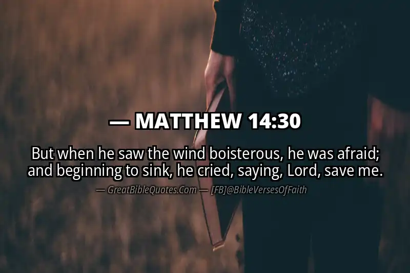 MATTHEW 14:30 Verse Image