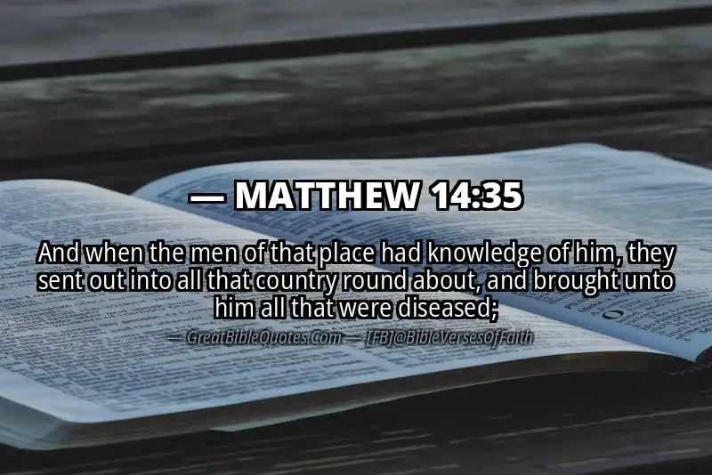 MATTHEW 14:35 Verse