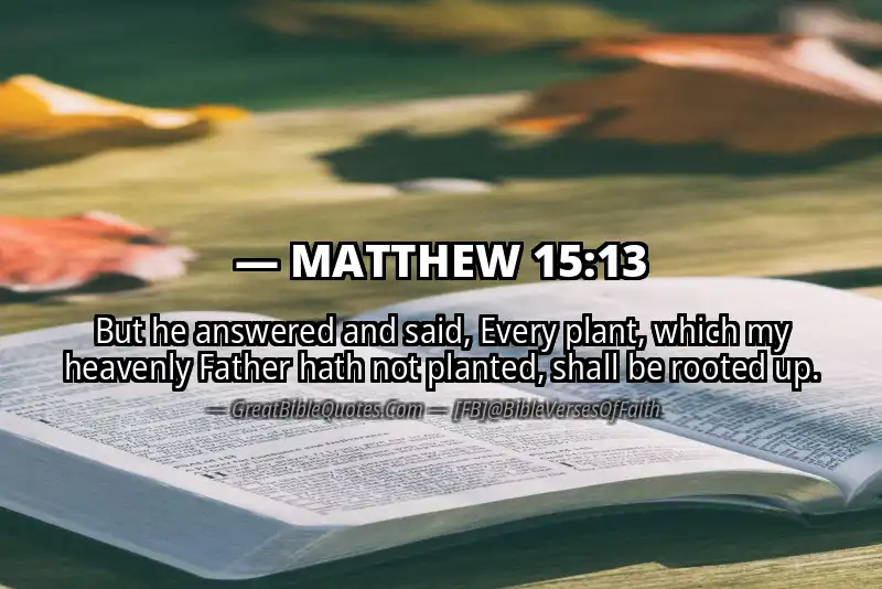 MATTHEW 15:13 Verse