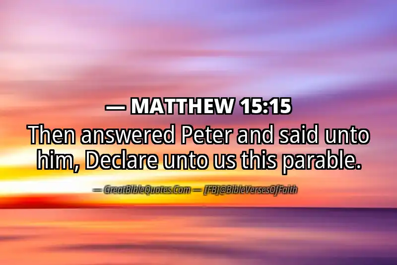 MATTHEW 15:15 Verse