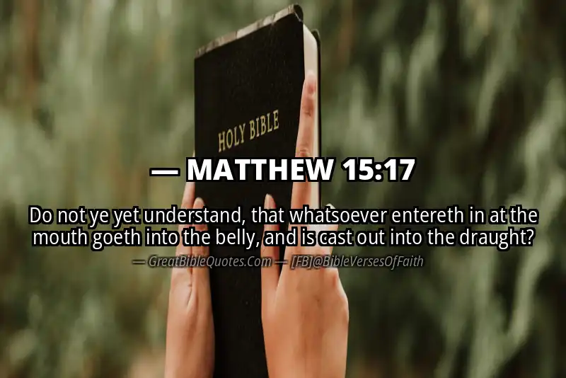 MATTHEW 15:17 Verse Image