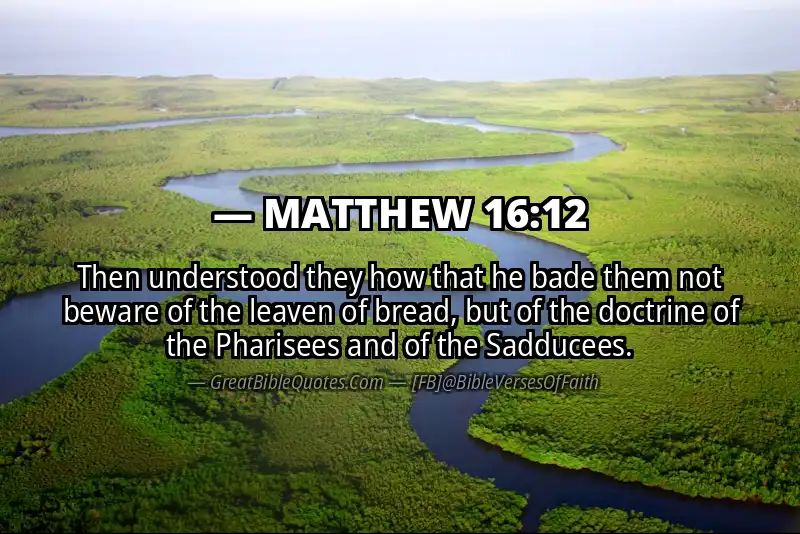MATTHEW 16:12 Verse