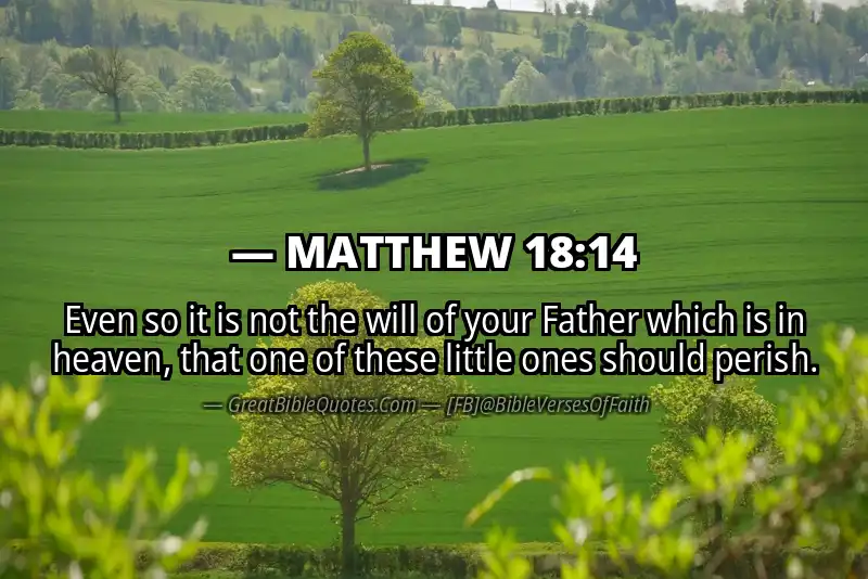 MATTHEW 18:14 Verse