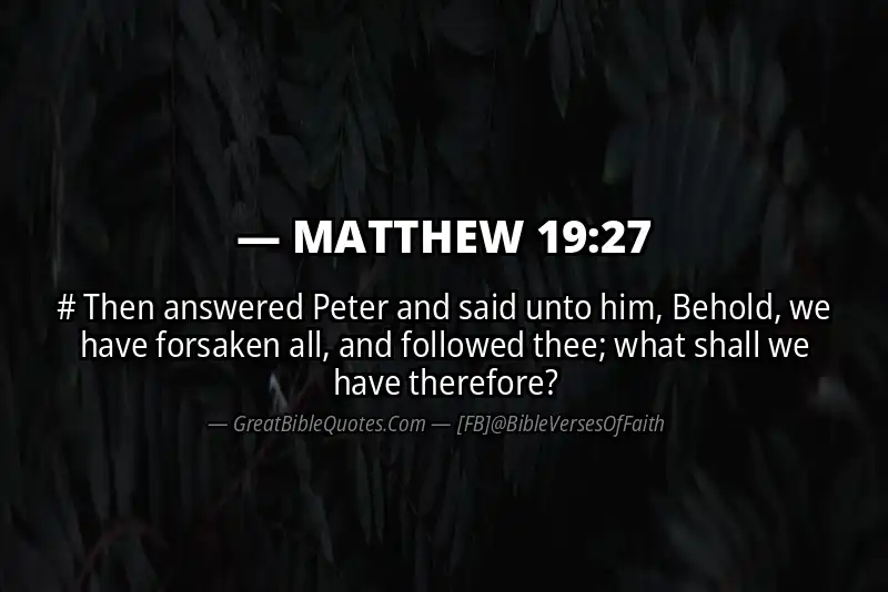 MATTHEW 19:27 Verse