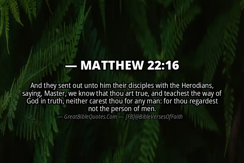 MATTHEW 22:16 Verse