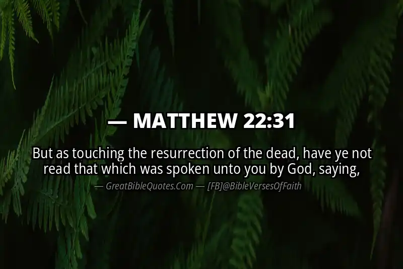 MATTHEW 22:31 Verse Image