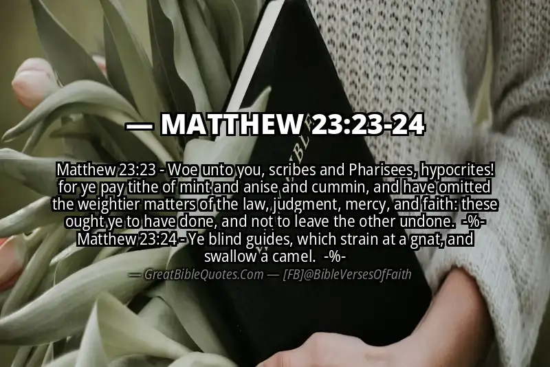 Image for MATTHEW 23:23-24 Bible verse