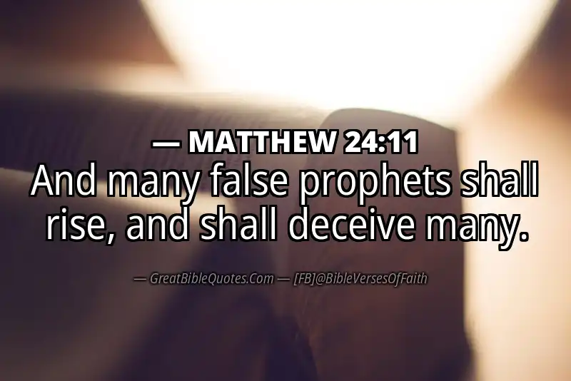 MATTHEW 24:11 Verse