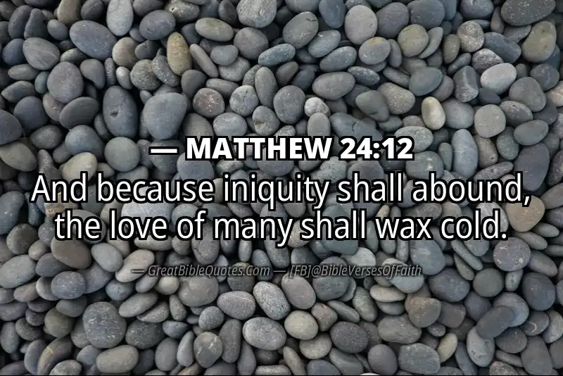 MATTHEW 24:12 Verse