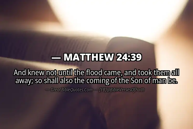 MATTHEW 24:39 Verse Image
