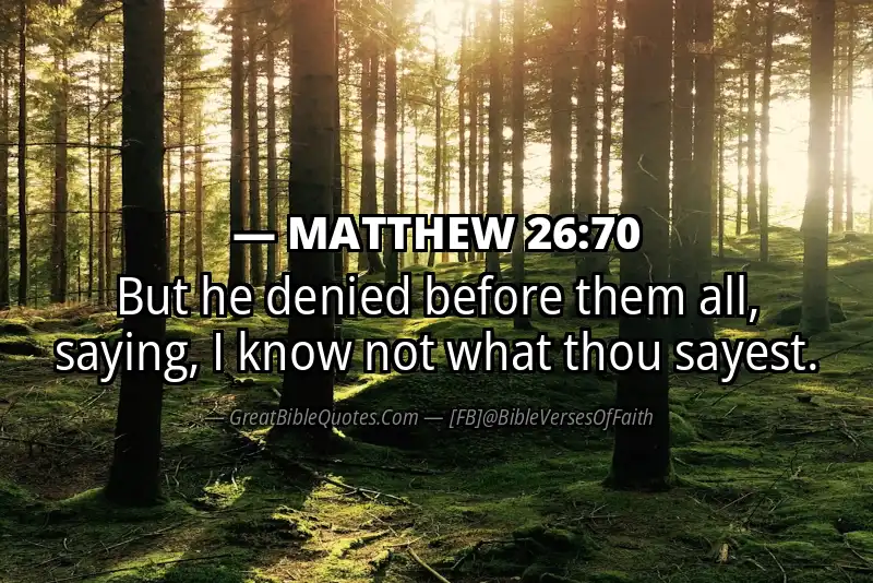 MATTHEW 26:70 Verse Image