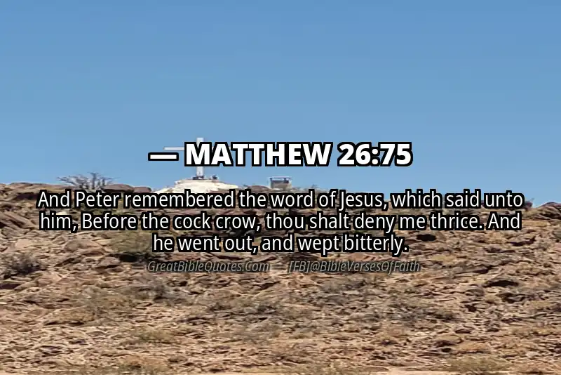 MATTHEW 26:75 Verse Image
