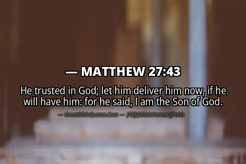 MATTHEW 27:43 Verse