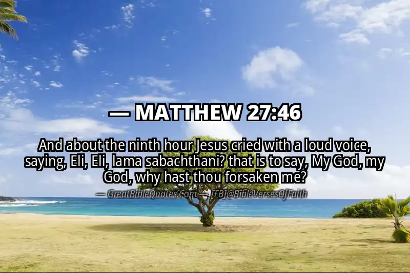 MATTHEW 27:46 Verse