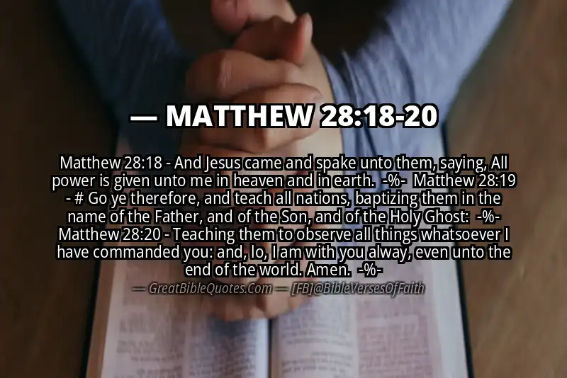 Image for MATTHEW 28:18-20 Bible verse