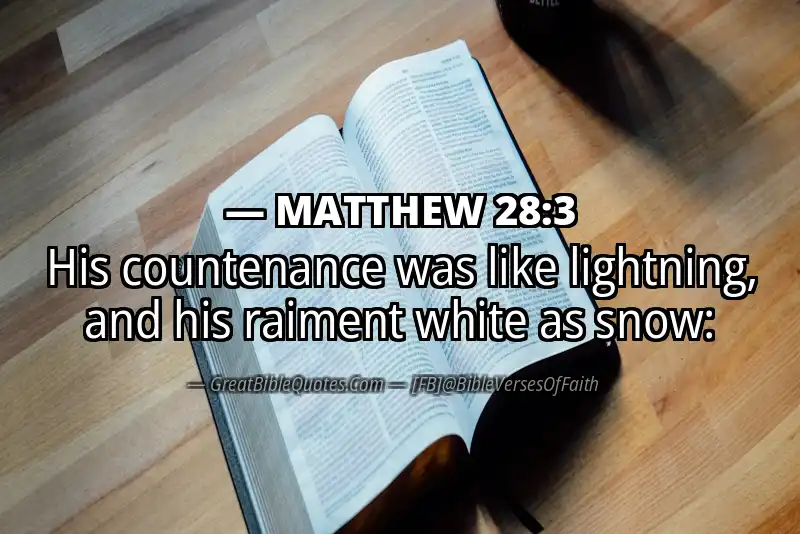 MATTHEW 28:3 Verse