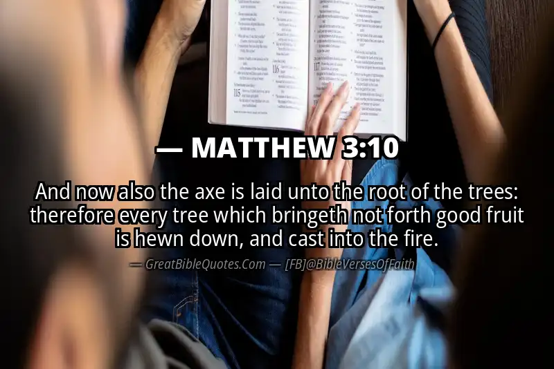 MATTHEW 3:10 Verse