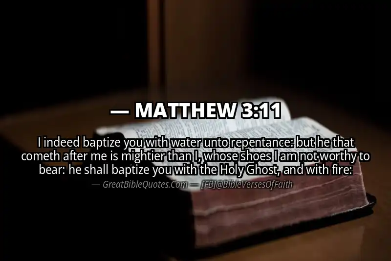 MATTHEW 3:11 Verse