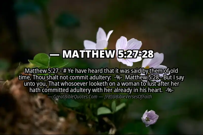 Image for MATTHEW 5:27-28 Bible verse