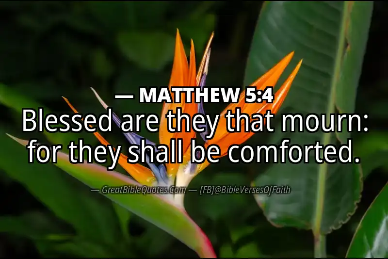 MATTHEW 5:4 Verse