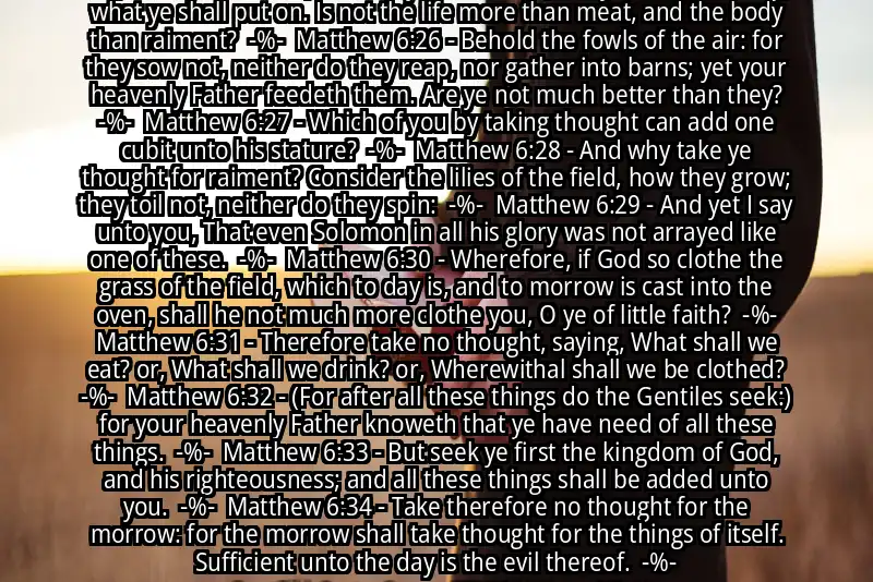 Image for MATTHEW 6:25-34 Bible verse