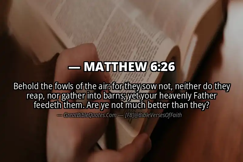 MATTHEW 6:26 Verse